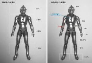 人の体重比